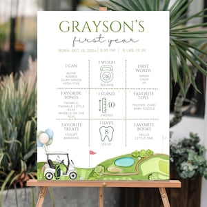 Hole in One Milestone Poster Editable Template Golf Birthday Party Sign My first year Board Birthday Poster 1st Golf Milestone Board Golf