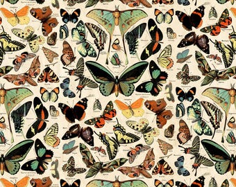 Butterflies | Teal 44 Inch Canvas Cloth Fabric | Tim Holtz | Free Spirit