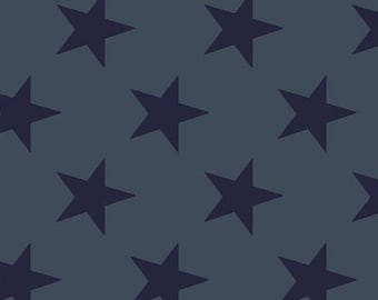 108" Wide Quilt Backing | Fredericksburg Revisited by Jo Morton | Star Spangled | Faded
