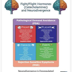 Puede incluir: Póster educativo titulado "Fight/Flight Hormones (Catecolaminas) and Neurodivergence". El póster incluye información sobre la Evitación de la Demanda Patológica (PDA) y la Disforia Sensible al Rechazo (RSD).