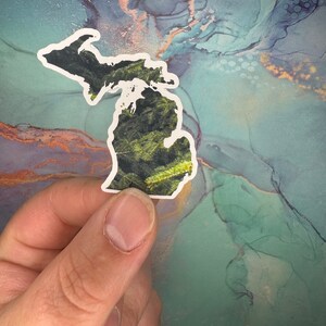 Adesivo in pino Michigan