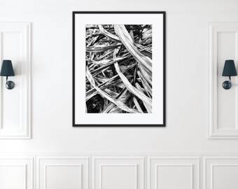 Impressão de folha de palmeira em preto e branco, arte de parede abstrata da natureza (download instantâneo)