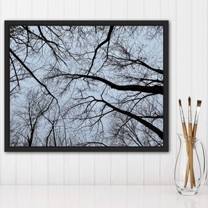 Tree Silhouette Sky: Printable Wall Art, Digital Download, Nature Photography, Instant Decor Print
