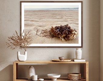 Impressão de Praia com Algas Marinhas, Arte de Parede Costeira (Download Digital)