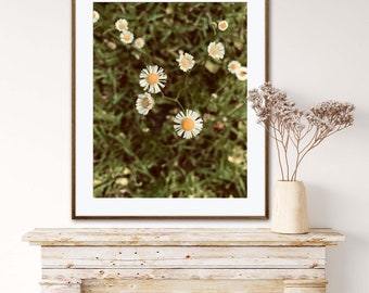 Flores Brancas e Amarelas: Impressão de Arte Floral para Parede, Fotografia de Flores Silvestres para Decoração, Download Instantâneo