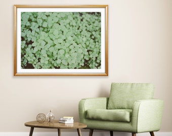 Impressão de paisagem com trevo verde, arte botânica para parede (download digital)
