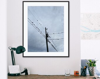 Impressão artística de pássaros em linhas de transmissão de energia, decoração de parede com céu (download digital)