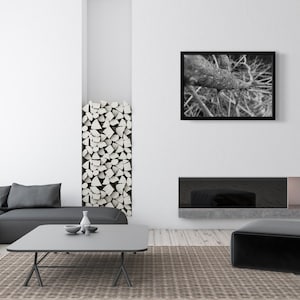 Tree Landscape Art, Black and White Tree Wall Art Decor, Tree Photography Poster Print, Instant Download