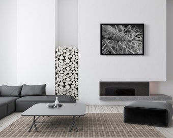 Black and White Tree Photography Print, Landscape Art (Instant Download)