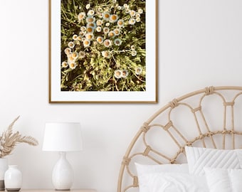 Konsttryck med vildblommor, väggdekoration med blommor (digital nedladdning)