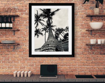 Palmeira Monocromática: Decoração de Parede Tropical Minimalista, Pôster com Estampa de Palmeira, Natureza - Download Instantâneo