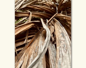 Arte de parede abstrata com elementos da natureza, decoração com trepadeiras e árvores, impressão de folhas de palmeira, download instantâneo.