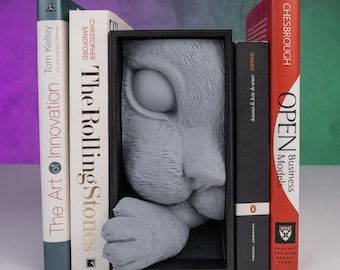 Rincón de libros para gatos: hecho a mano, lector, fantasía, amante de los libros, fantasía, decoración de estanterías.