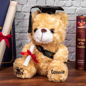 Custom Name Graduation Teddy Bear | Graduation Bear with School Badge | Graduation Gifts for Friends/Students/Kindergarten | Graduation Gift