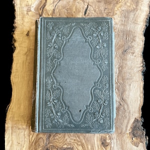The Rag Bag, A Collection of Ephemera by N. Parker Willis 1855