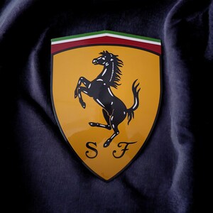 May include: A yellow shield with a black rearing horse and the letters "S F" in a stylized font. The shield has a red, white, and green stripe across the top.