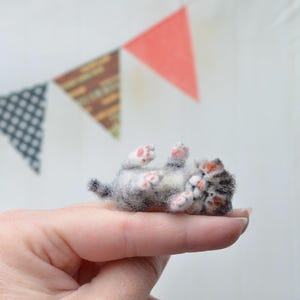 Graues, schlafendes Kätzchen. Winzige Wollkatze. Nadelfilz-Miniaturtier. Haustier für Blythe-Figuren.