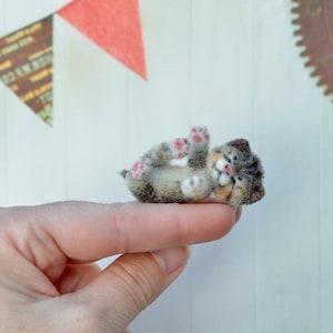 May include: A miniature, handmade kitten figurine, lying on its back with paws in the air. The kitten has gray, brown, and orange fur with pink paw pads. The background includes a white wall, a banner, and a clock.