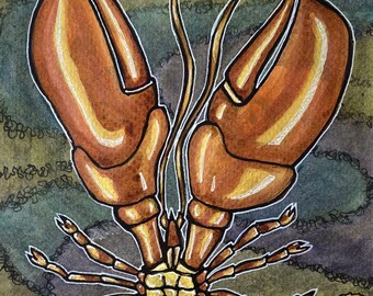 Abstract Lobster and Coral Original Watercolor Painting