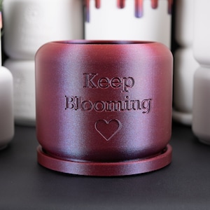 May include: A burgundy iridescent ceramic planter with a white heart and the text "Keep Blooming" embossed on the side.