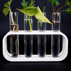 Estación de propagación moderna - Soporte minimalista de cuatro ranuras para plantas de propagación - Expositor de escritorio único para plantas bebés - Blanco