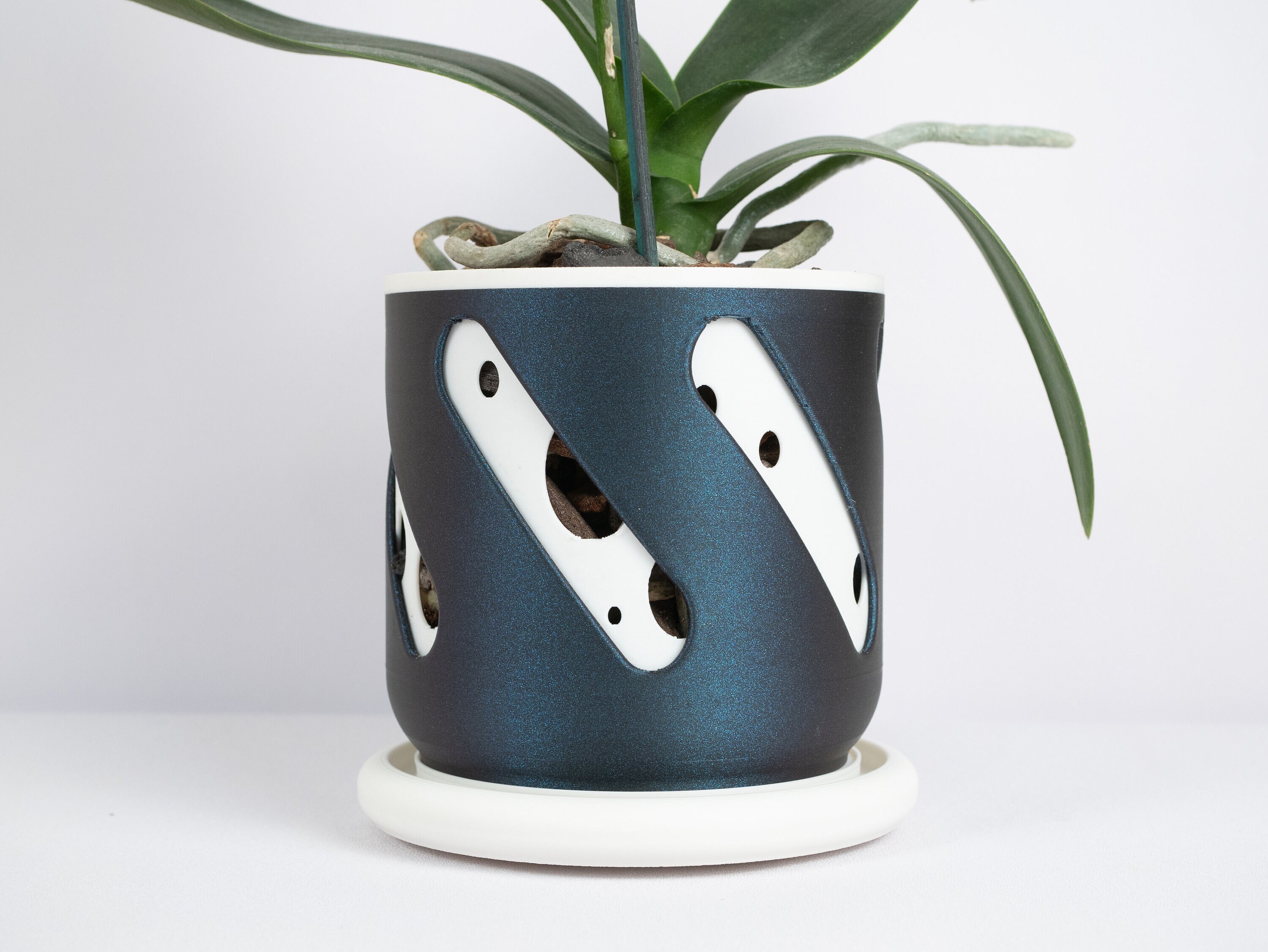 Bubbly Orchid Planter - Custom Phalaenopsis Plant Pot With Drainage and  Drip Tray - Perfect for Epiphytes - Two Tone - Unique & 3D Printed - Etsy