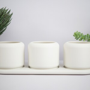 May include: Three white ceramic planters with a white tray. The planters are round and have a smooth, matte finish. The tray is rectangular and has a slightly raised edge.