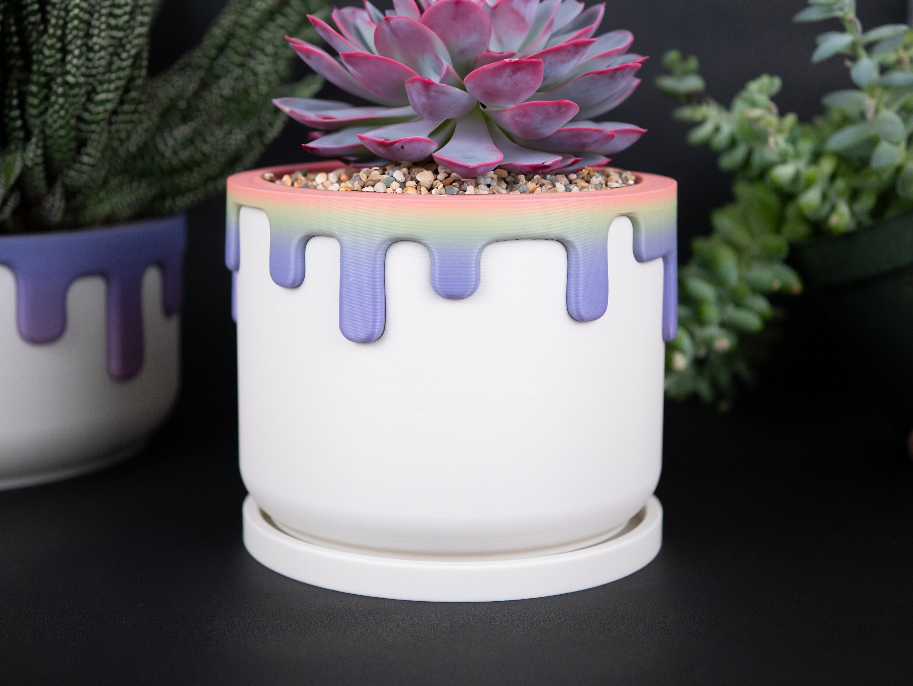 Drippy - Rainbow Planter 3-5 inch with Drainage and Drip Tray (White with Pastel Rainbow Drip Gradient) - Unique 3D Printed Pot