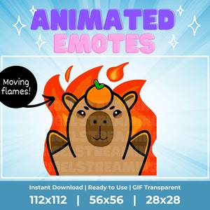 Kawaii geanimeerde capibara-emote: Hellmo Fire &#39;This is Fine&#39; (transparant GIF)