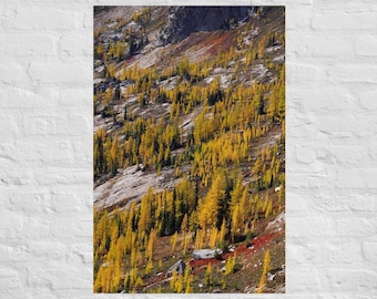 Fotografía de paisaje de alerce dorado: póster e impresión en lienzo