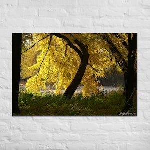 Herbst Deko Poster, Herbst Fotografie, Herbst Leinwand Kunstdruck