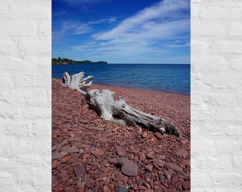 Fotografía de madera a la deriva en la Playa Rosa del Lago Superior: póster e impresión en lienzo