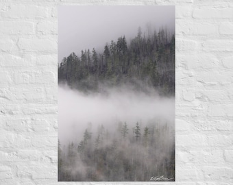 Moody Fog Covered Trees Photography: Poster and Canvas Print