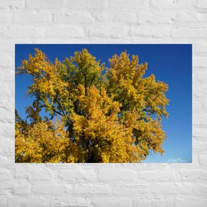 Herbst Wandbehang, Herbst Leinwanddruck, Herbst Wanddrucke