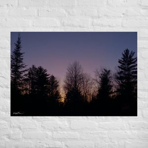 Trees Photography, Tree Canvas Wall Art, Silhouette Tree Line, Minimalist Wall Art