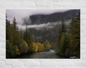 Fotografía de árboles cubiertos de nubes junto a un río: póster e impresión en lienzo