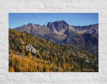 Fotografía de un bosque de alerces amarillos contra una cordillera: póster e impresión en lienzo