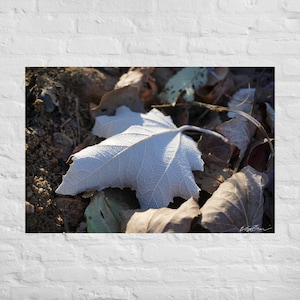Fall Wall Art, White Leaf Wall Hanging, Fall Leaves Wall Art Prints
