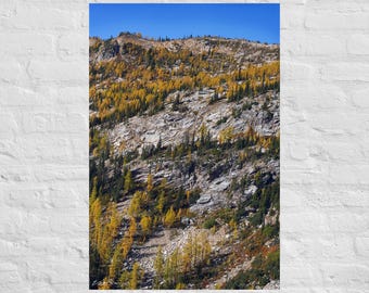 Paisaje con alerces amarillos contra la ladera de una montaña de granito. Fotografía: Póster e impresión en lienzo.