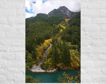 Fotografía de árboles otoñales en la ladera de la montaña: póster e impresión en lienzo