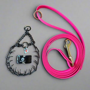 Puede incluir: Un conjunto de entrenamiento para perros que incluye un collar de púas negro, un collar de hebilla negro con el texto "ryder's dog gear" y una correa rosa brillante. La correa tiene un cierre y un anillo dorados.