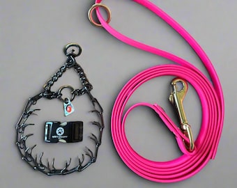 Op de afbeelding: Een hondentrainingsset met een zwarte prikhalsband, een zwarte gesphalsband met de tekst "ryder's dog gear" en een felroze lijn. De lijn heeft een goudkleurige sluiting en ring.