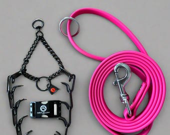 Op de afbeelding: Een zwarte metalen prikband en een felroze hondenriem. De halsband heeft een zwarte ketting en een gesp met de tekst "ryder's dog gear" en een pootafdruk. De riem is opgerold en heeft een zilveren metalen sluiting.