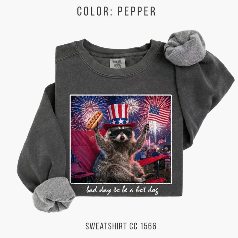 Camiseta divertida de mapache para el 4 de julio de Comfort Colors®, camiseta America 250, camiseta gráfica Bad Day To Be A Hot Dog, camiseta para fiesta de barbacoa patriótica imagen 5
