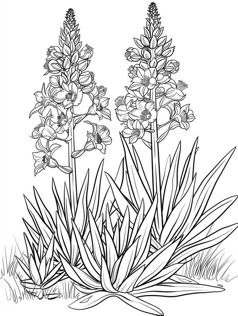 50 Printable State Flower Color Worksheets for Adults and Kids/coloring ...