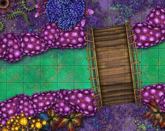 In the Forest - Feywilds Map