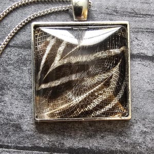 Feathers resin sealed in a glass pendant necklace