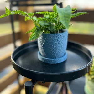 May include: A small, green leafy plant in a blue ceramic pot with a textured surface. The pot is sitting on a black metal tray.
