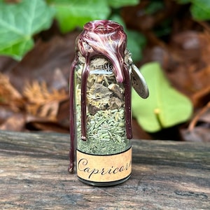 Capricorn Spell Jar | Zodiac Sign | Witchcraft Altar Magic Decor | Wiccan Pagan Tools | Intention & Ritual