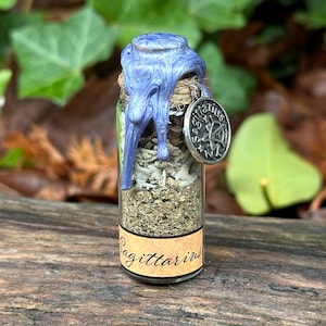 Sagittarius Spell Jar | Zodiac Sign | Witchcraft Altar Magic Decor | Wiccan Pagan Tools | Intention & Ritual
